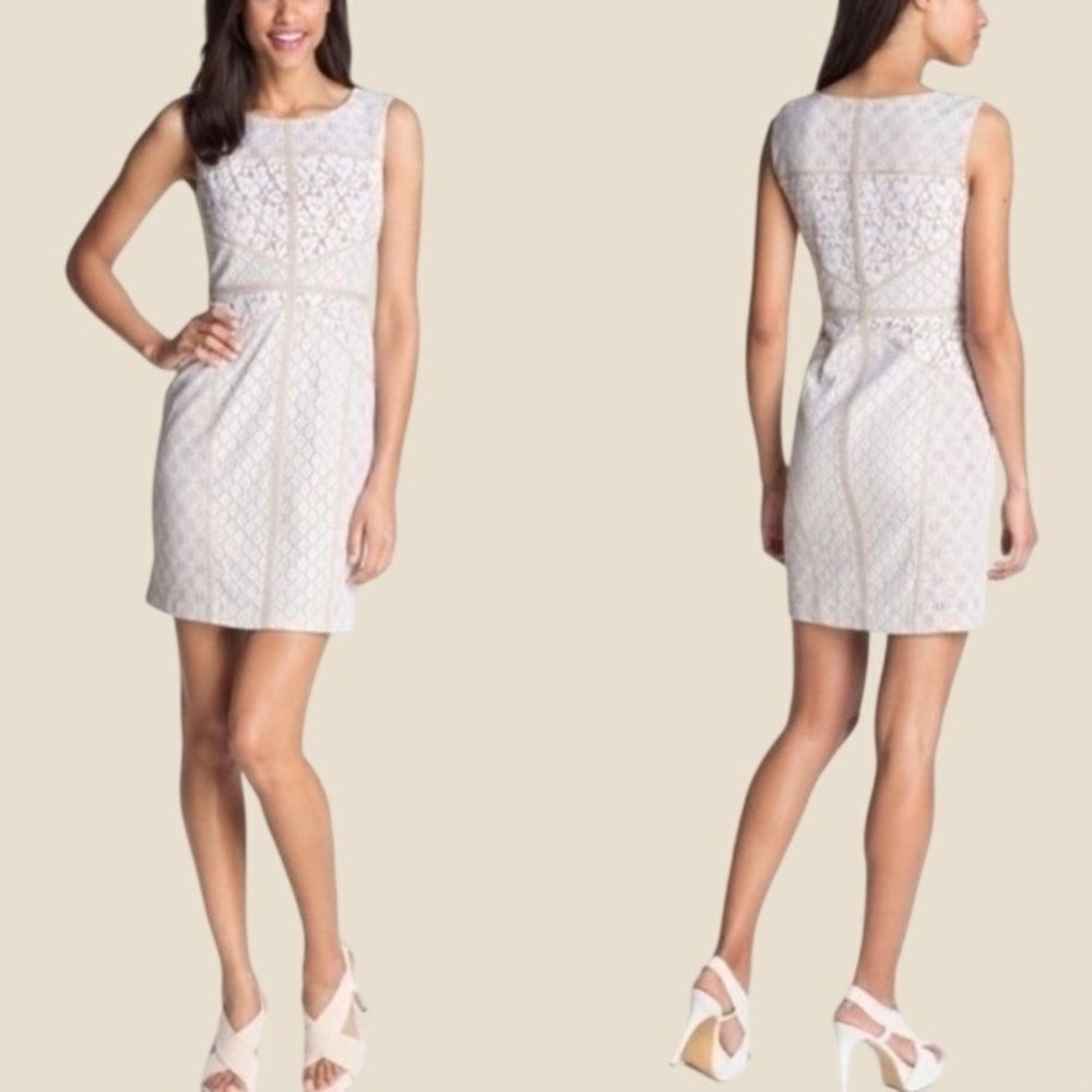 Maggy London Lace Emboidered Mini Dress Womens 10 White Stretch Elegant Office